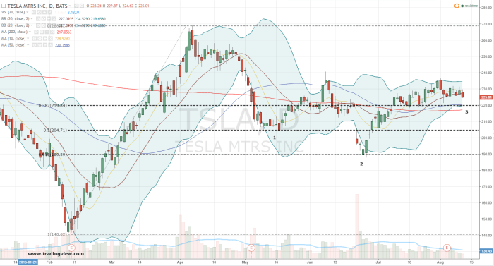 Tslq stock price