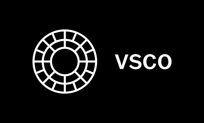 Vsco stock price today