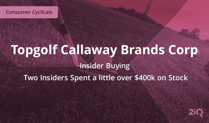 Topgolf callaway stock price