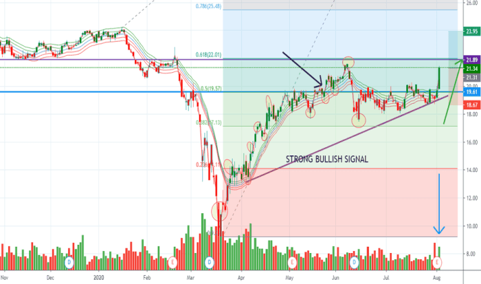 Stock price wmb