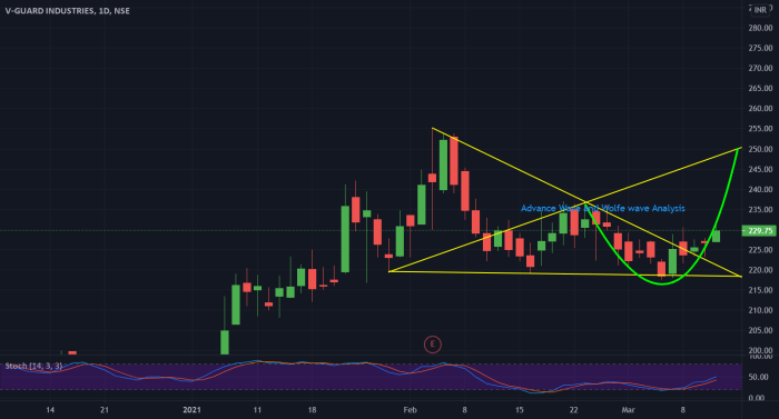 V guard industries stock price