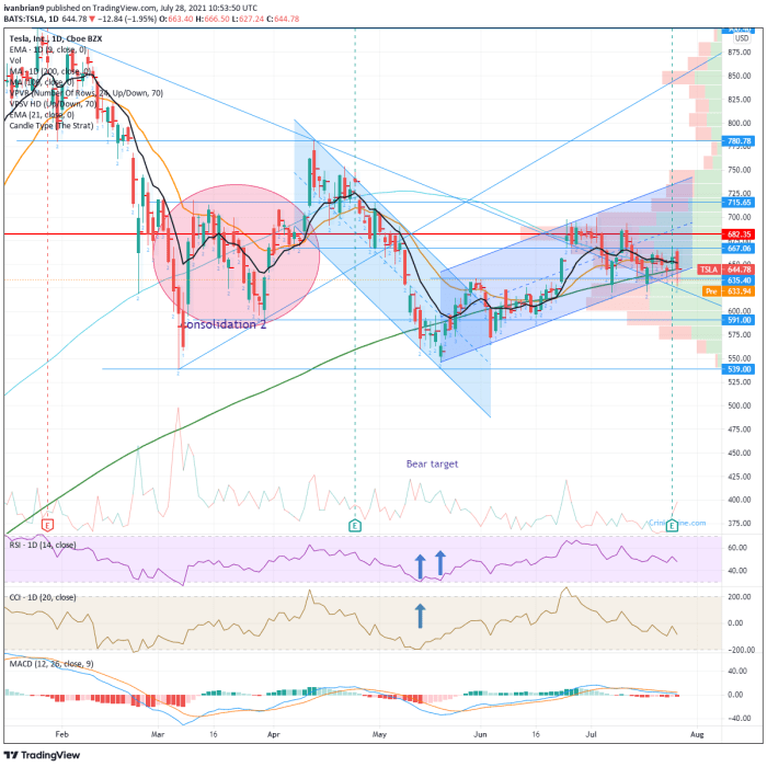 Tsla frankfurt stock price